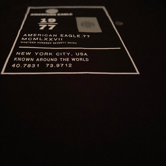 American Eagle Outfitter Long Sleeve Shirt - Picture 4 of 6